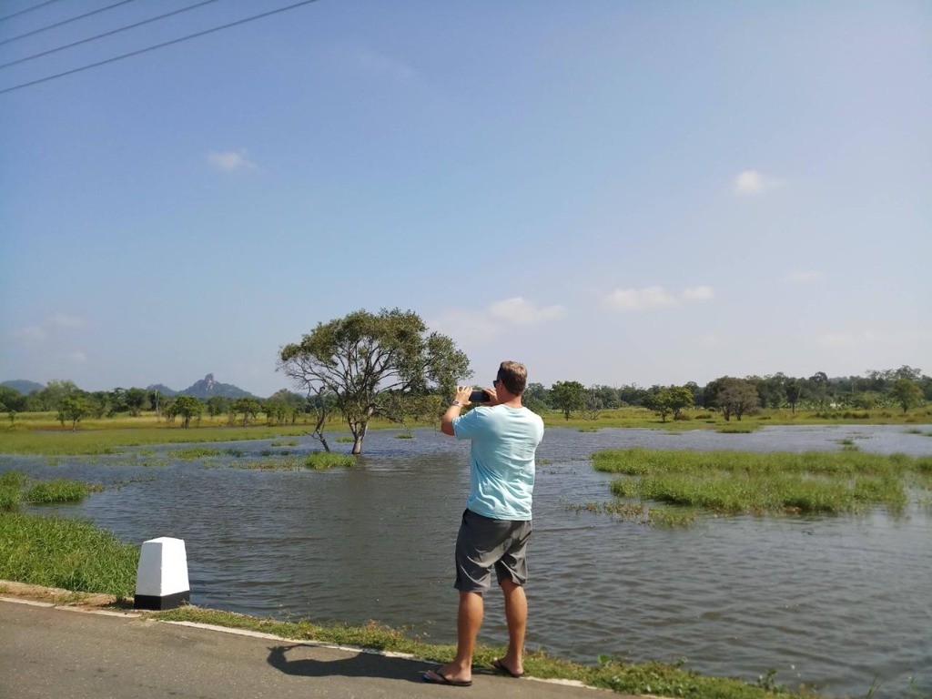 Wetland Safari
